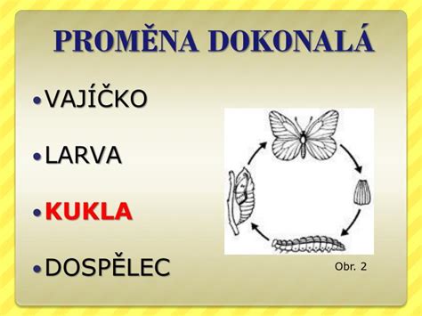 Proměna dokonalá